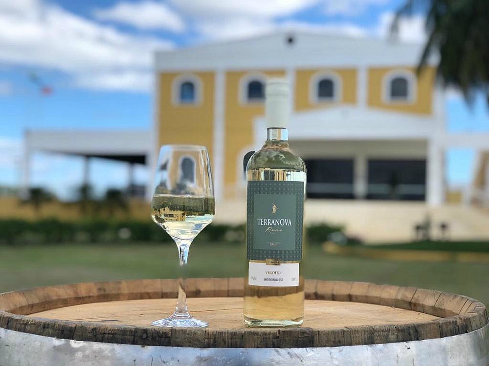 Vinhos Terranova são produzidos pela Miolo no Nordeste/Foto: Divulgação Vinhovasf 