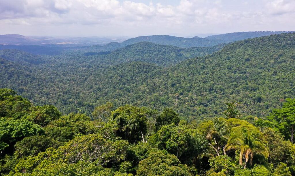 Amazônia TV Brasil