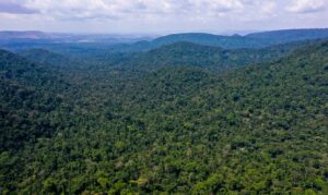 amazônia - sustentáveis