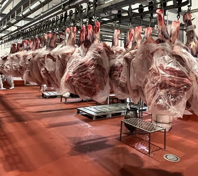 carne gado tarifa Trump