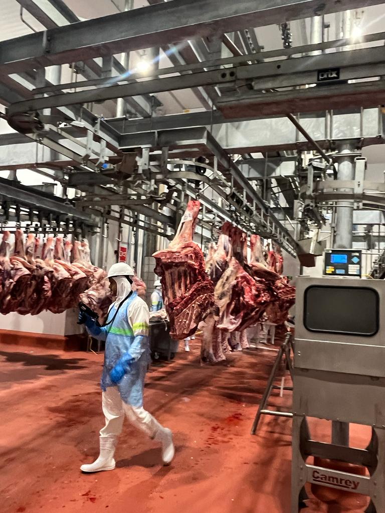 carne gado isenção cesta básica reforma tributária bovinos