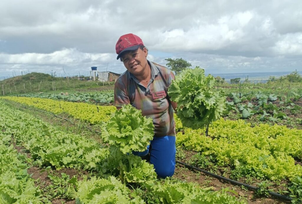 Agricultura familiar Alagoas