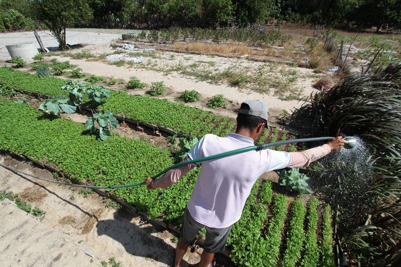 Programa de microcrédito rural do Banco do Nordeste, Agroamigo