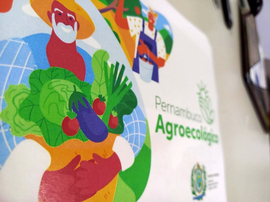 Pernambuco Agroecológico, Banco Mundial