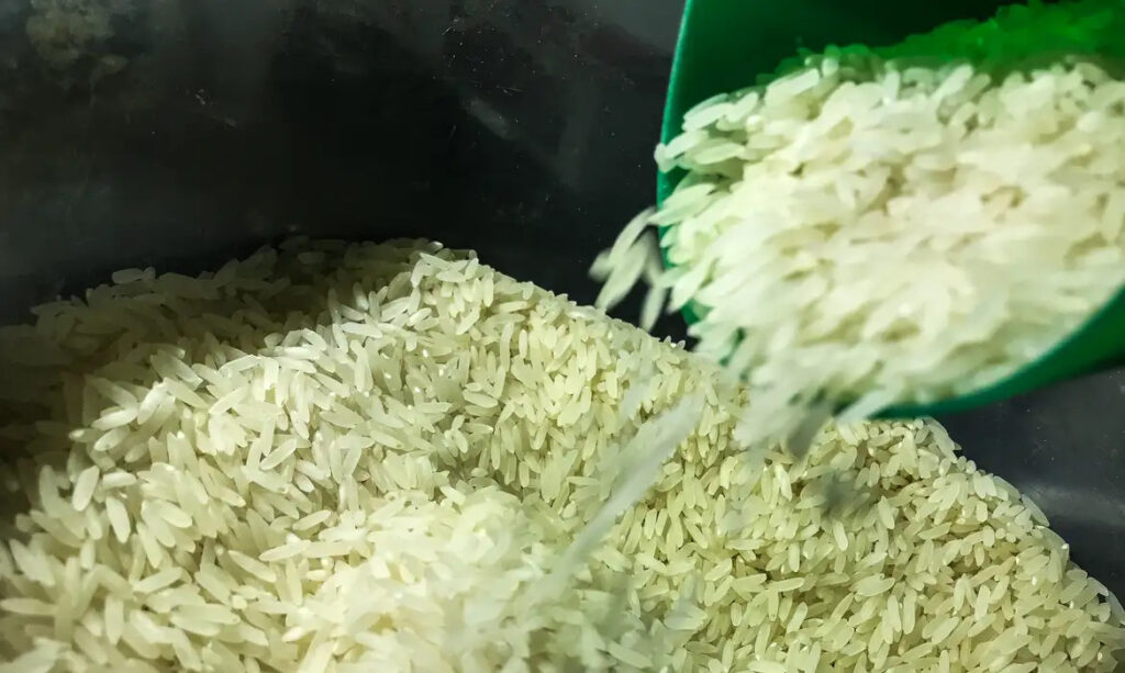 arroz compra leilão importação