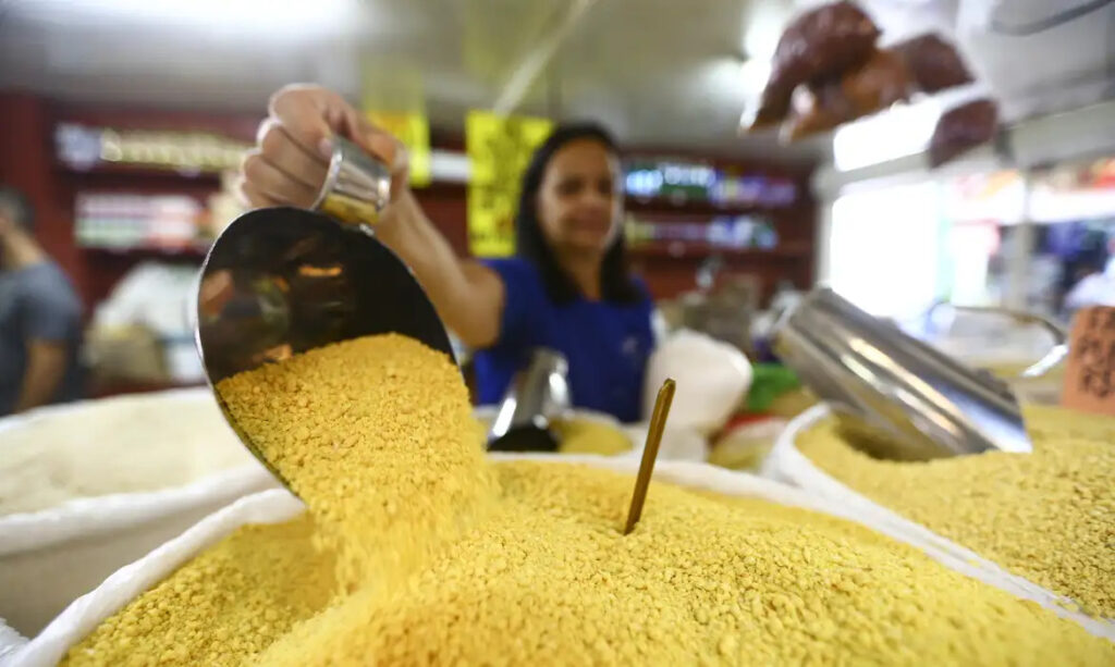 IBGE trabalho população ocupada emprego agricultura feira alimentos pessoas ocupadas