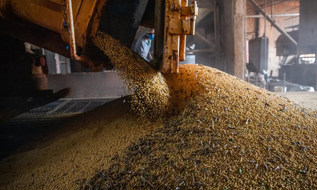 produção agrícola grãos commodities IBGE