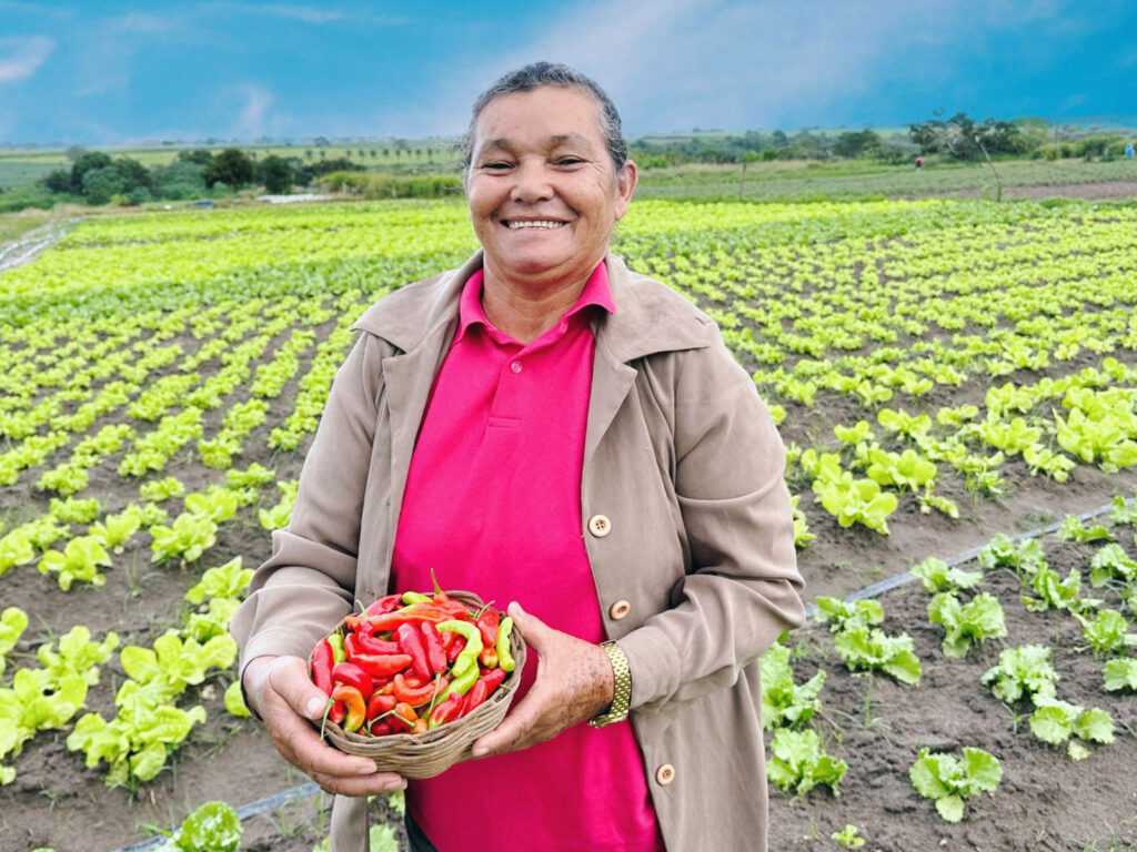 Agricultura Alagoas