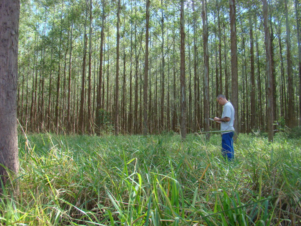 Cientistas desenvolvem protocolo para monitorar emissões de gases de efeito estufa (GEE) na agricultura brasileira