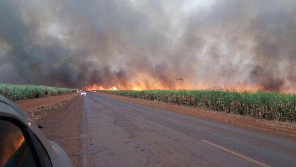 Incêndios em canavial