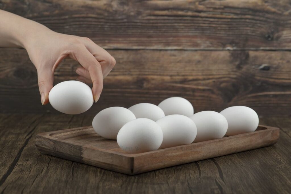ovos produção avícola Pernambuco PIB ovo