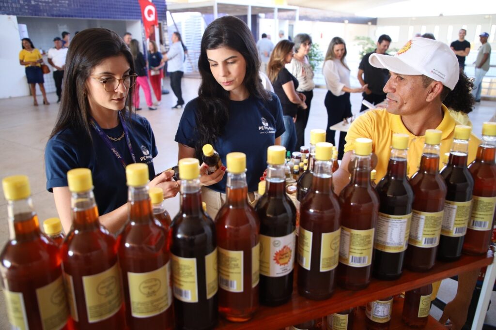 Produz PE cadeias produtivas Pernambuco arranjos produtivos