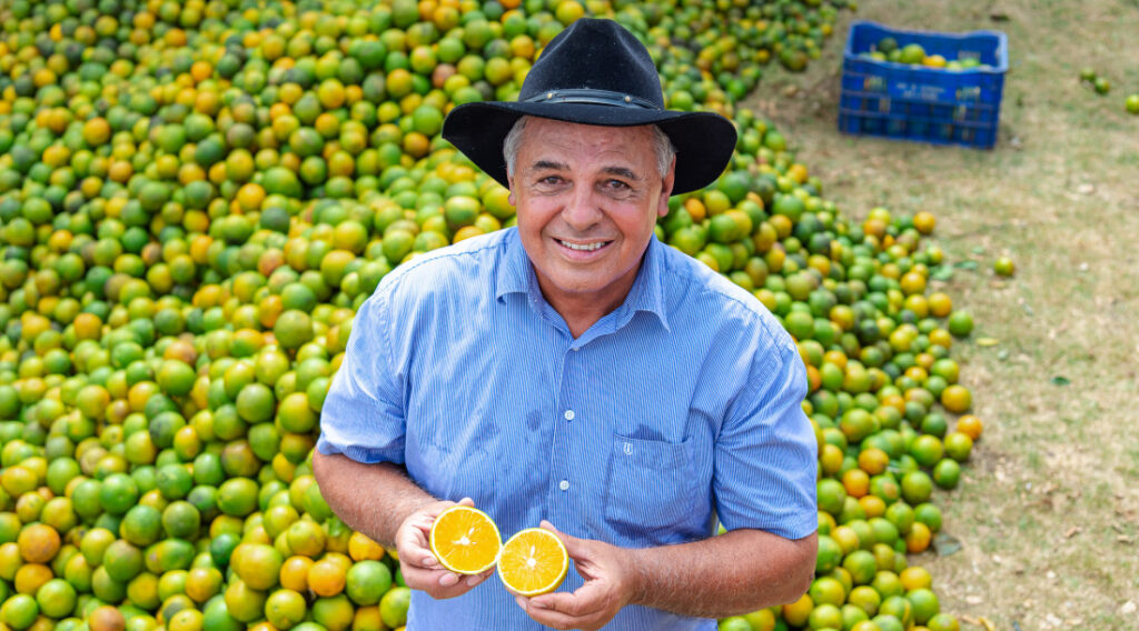 Produção laranja Sergipe 