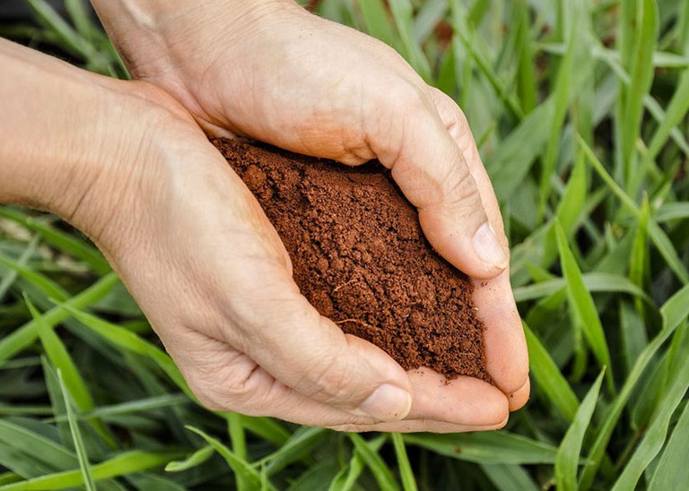 Biofertilizante no Brasil