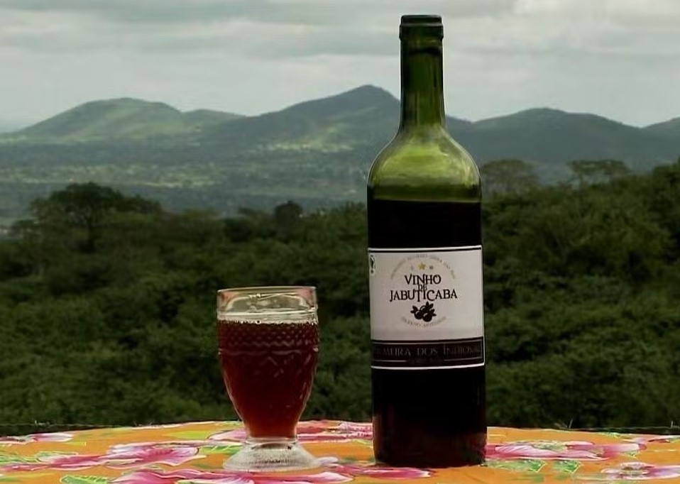 Fermentado de jabuticaba vinho Alagoas Palmeira dos Índios Embrapa Coopcam