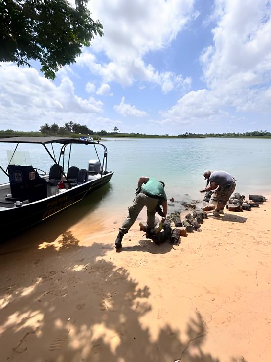 Ibama operação pesca predatória Sergipe Alagoas