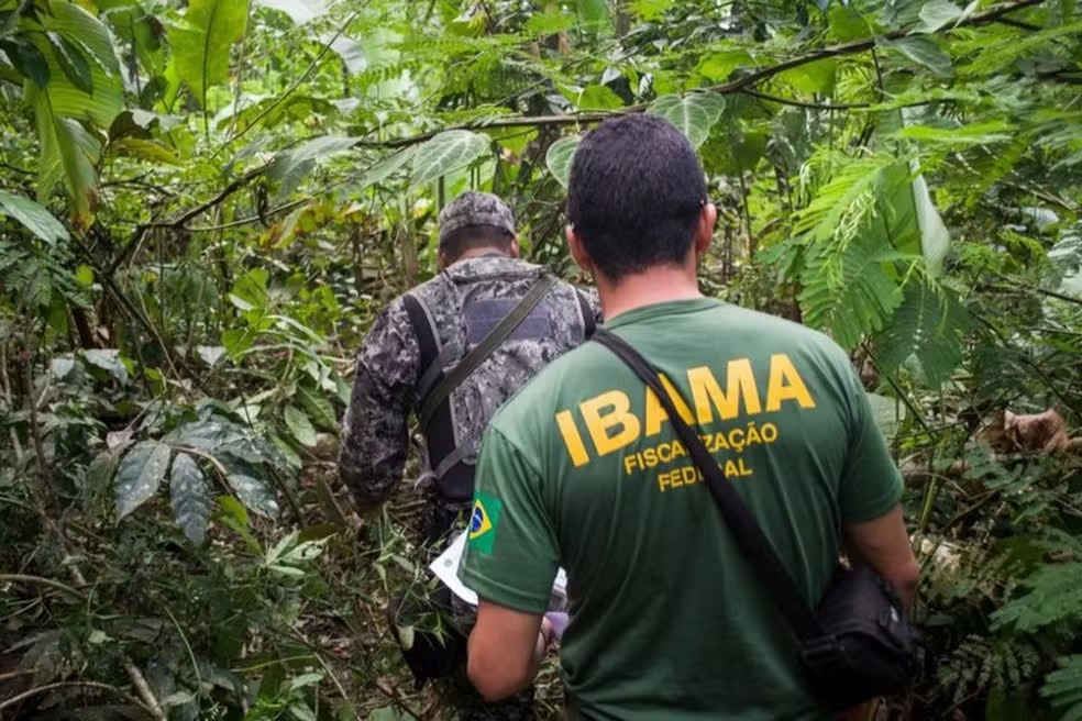 Ibama concurso fiscalização vagas