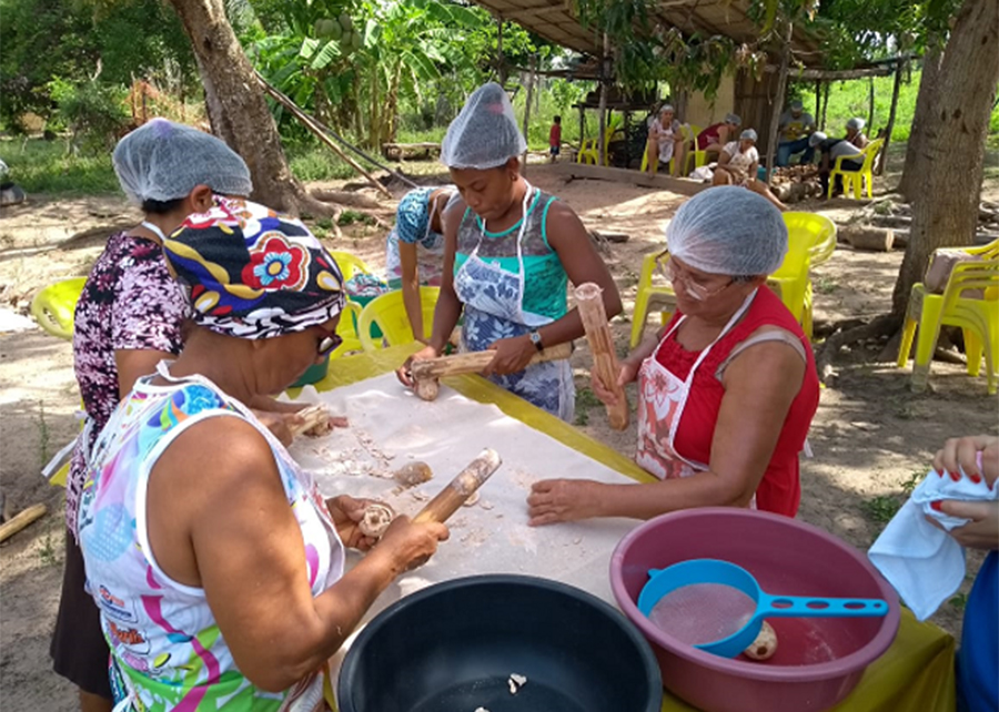 Embrapa alimentos à base de babaçu