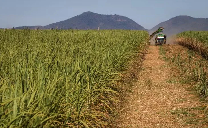 produção de cana Nordeste NE açúcar álcool safra