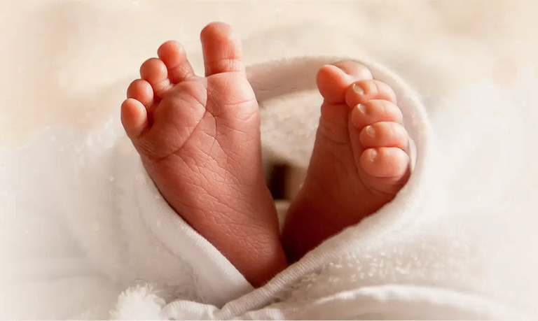 nascimentos bebês mães gestantes IBGE