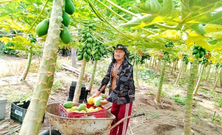 Assentamento Apasa, localizado em Pitimbu, no litoral sul da Paraíba