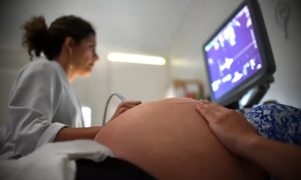 IBGE Censo maternidade mulheres menos filhos saúde pré-natal