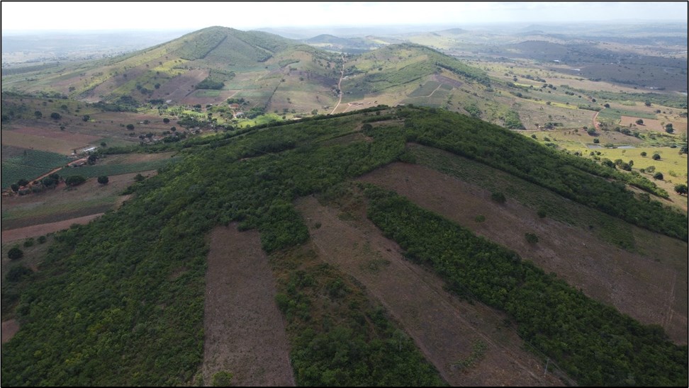 Projeto Pereira Velho, em Arapiraca, Alagoas, pode impulsionar exploração de ouro na região