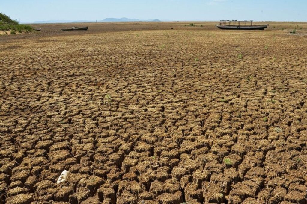 A estiagem prolongada levou a governadora Raquel Lyra a decretar situação de emergência hídrica em 102 municípios de Pernambuco Foto :Agencia Brasil
