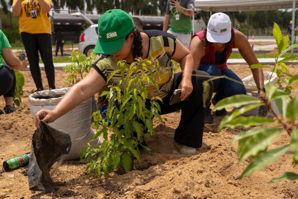 Heineken plantio de microfloresta Recife