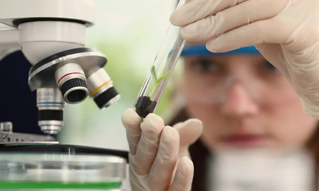 SBPC ciências meninas cientistas desigualdades