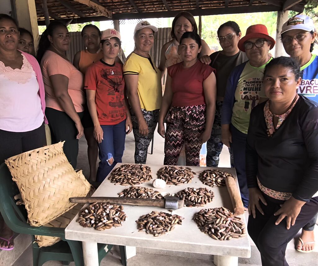 Associação das Mulheres Quebradeiras de Coco Babaçu de Miguel Alves Piauí
