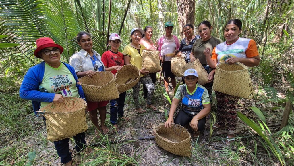 Associação das Mulheres Quebradeiras de Coco Babaçu de Miguel Alves Piauí