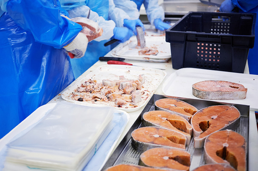 Os pescados cearenses destinam mais de 50% dos produtos para os EUA - Foto: Divulgação/FIEC