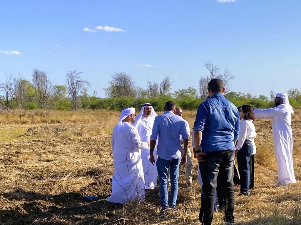Bahia terá projeto de US$ 4 milhões para cultivo de tâmaras no semiárido