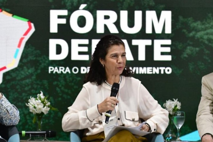 Maria Fernanda Coelho, presidente da ABDE e diretora do BNDES