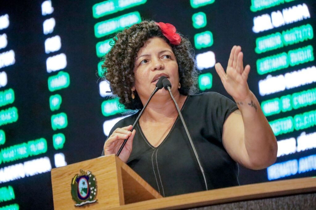 A deputada Dani Portela já conseguiu aprovar em primeiro turno a sua proposta, que prevê cotas sociais e racial em concursos do governo do Estado Foto: Roberto Soares/Alepe