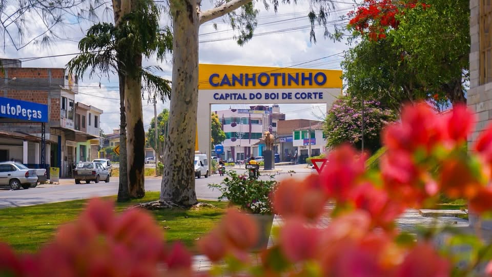 Canhotinho