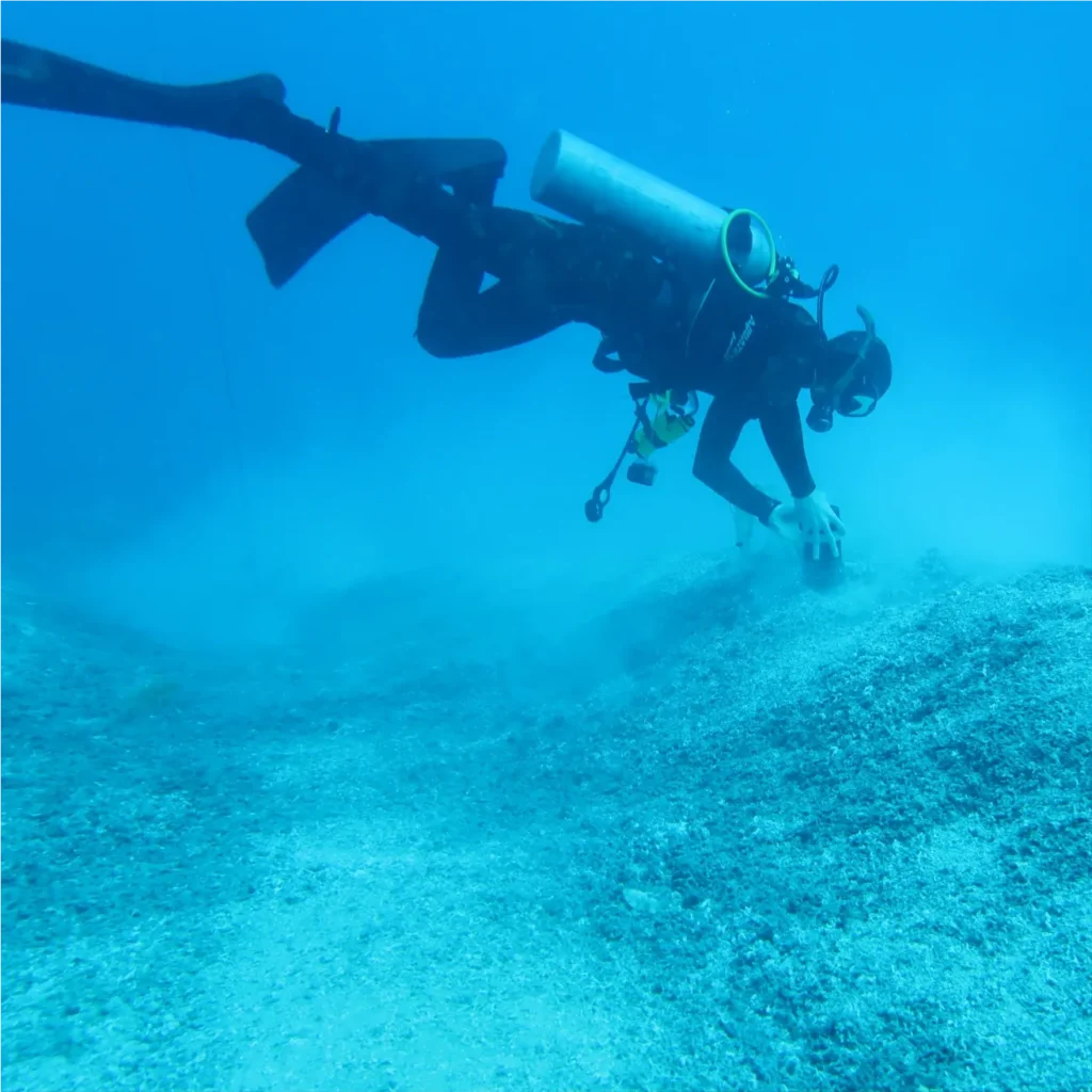 Oceana Minerals produção de fertilizantes à base de alga marinha