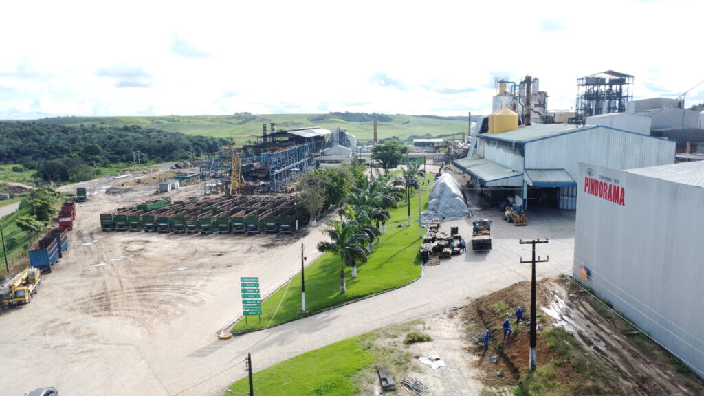Cooperativa Pindorama, Alagoas