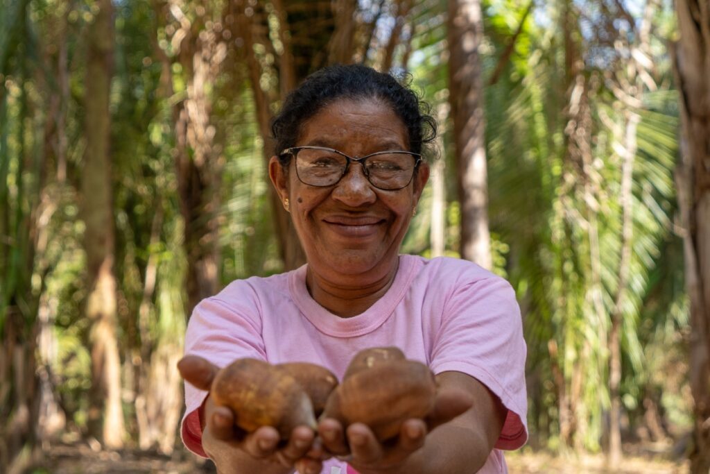 Bioeconomia nos cocais: indústria sustentável do babaçu gera renda e qualidade de vida