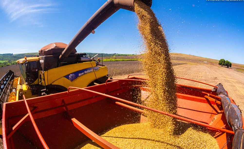 produção de grãos soja Conab Nordeste