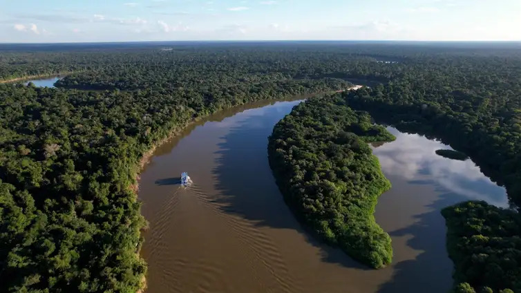 Frame TV Brasil Fundo Florestas Tropicais para Sempre lançado na COP30 tem aportes prometidos de mais de US$ 5,5 bilhões - Frame TV Brasil