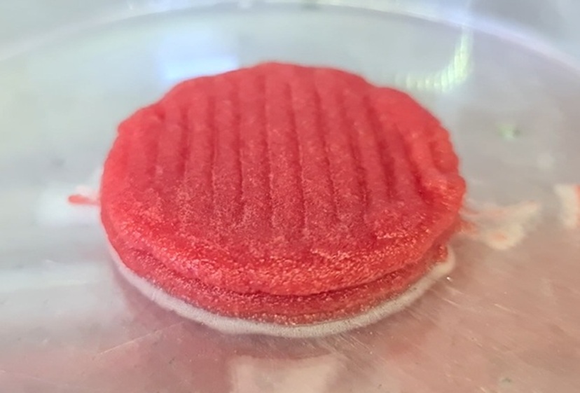 Pesquisadores do CIMATEC-BA desenvolvem carne impressa em bioimpressora