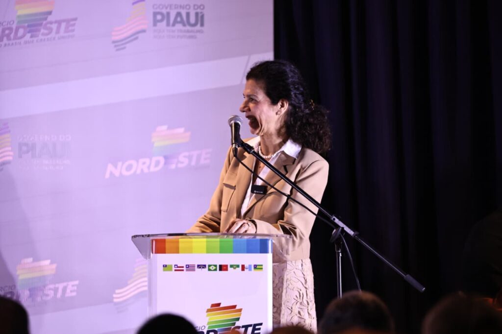 Maria Fernanda Coelho, diretora de Crédito Digital para MPMEs e Gestão do Fundo Rio Doce do BNDES