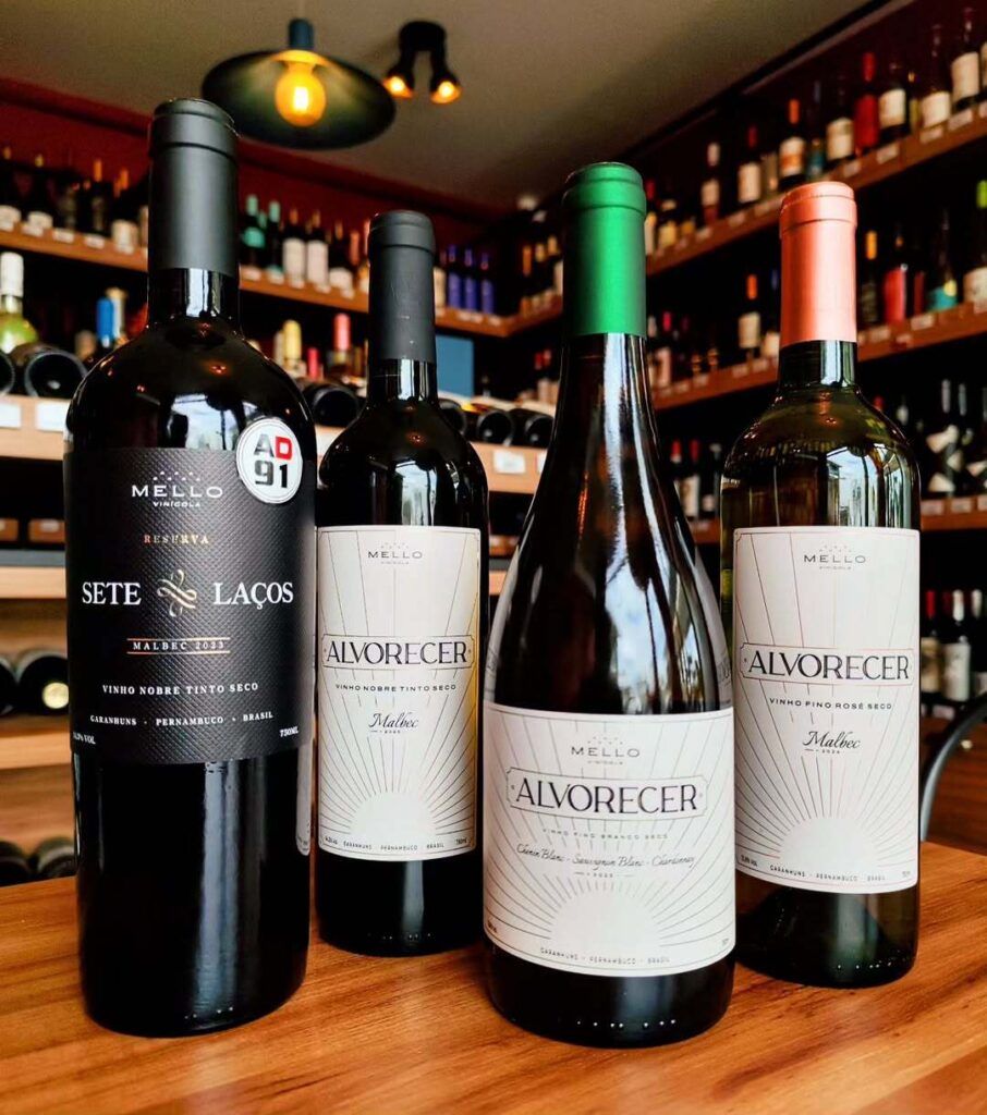 produção de vinhos de altitude Garanhuns Vinícola Mello