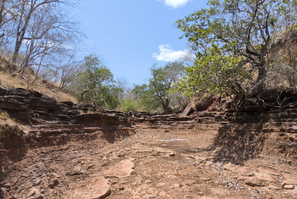 Serviço Geológico do Brasil (SGB) terras raras Bacia do Parnaíba Piauí