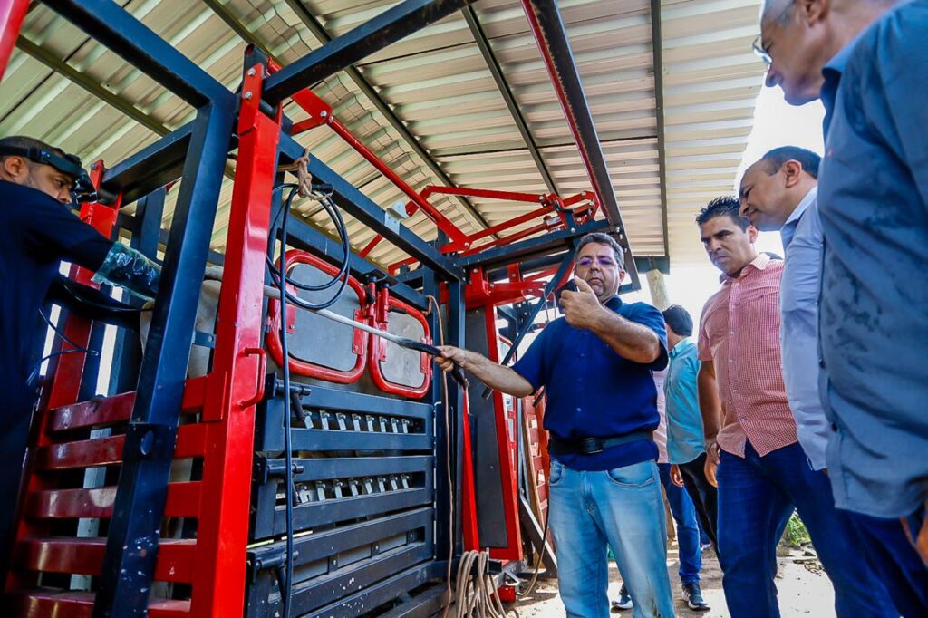 melhoramento genético bovino Piauí