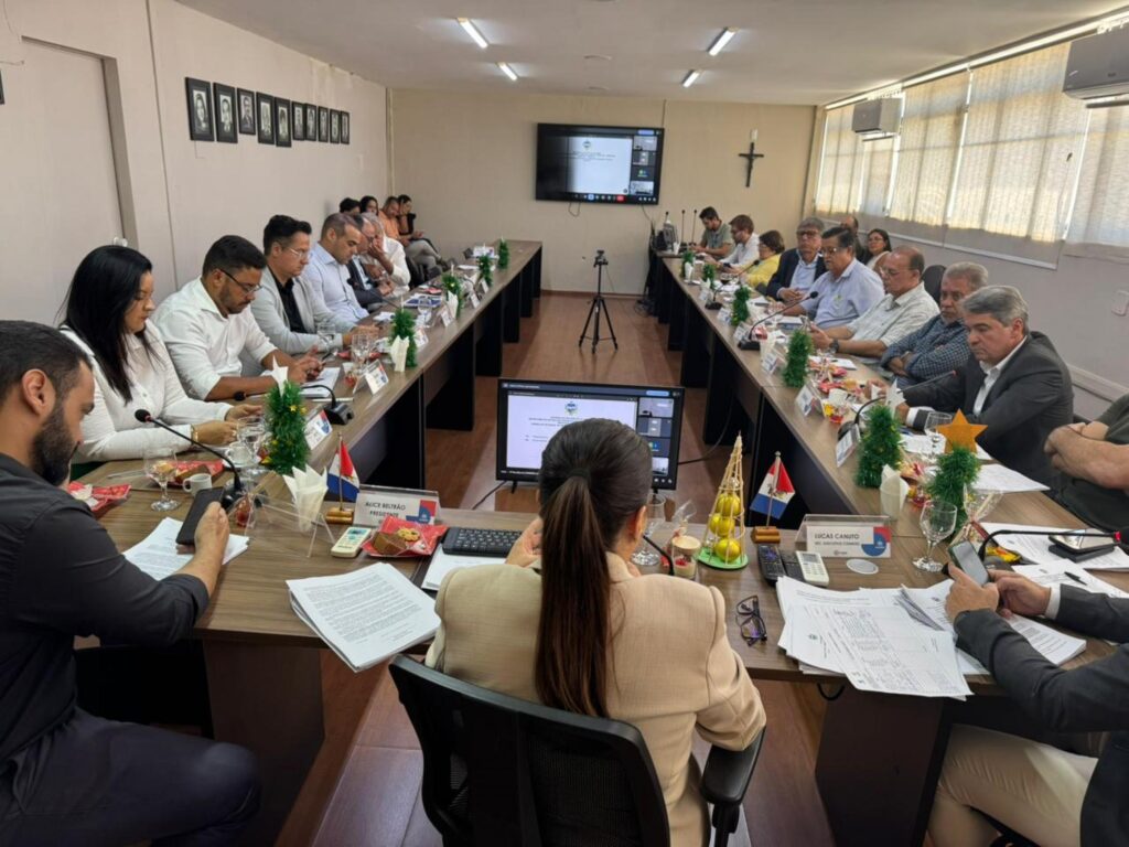 reunião conedes incentivos 2025