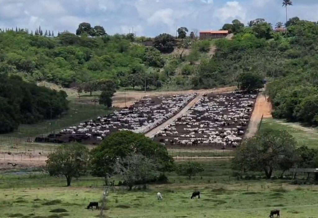 Boitel Cooperativa Pindorama