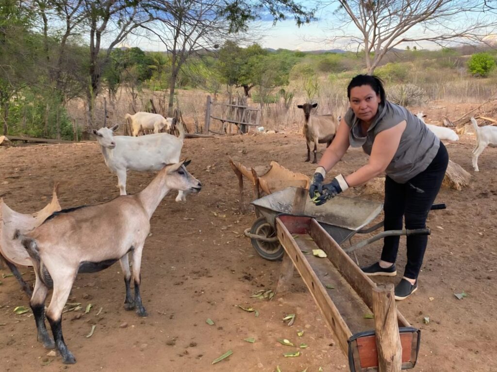 Josefá Agroamigo